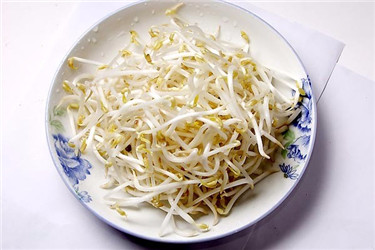 九鼎批发市场绿豆芽介绍
