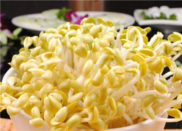 九鼎批发市场黄豆芽介绍